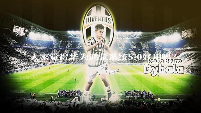 大家觉得华为鸿蒙系统5.0好用吗？