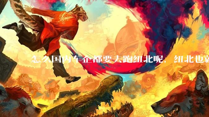 怎么国内车企都要去跑纽北呢，纽北也就是个普通赛道?