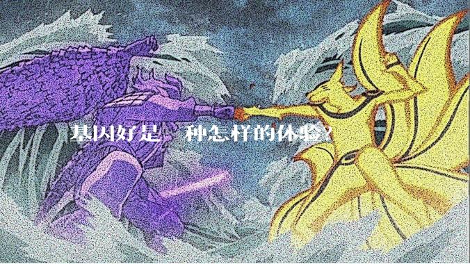 基因好是一种怎样的体验？