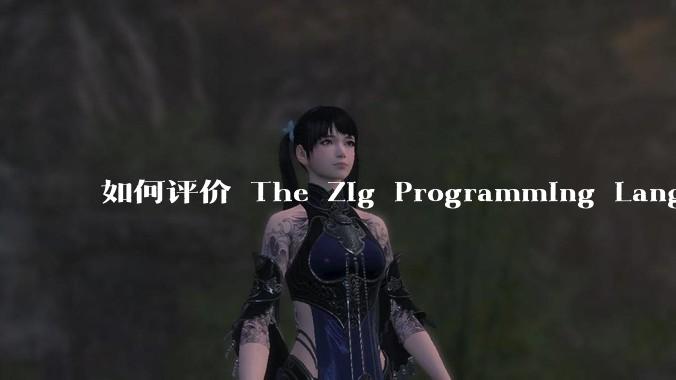 如何评价 The Zig Programming Language？